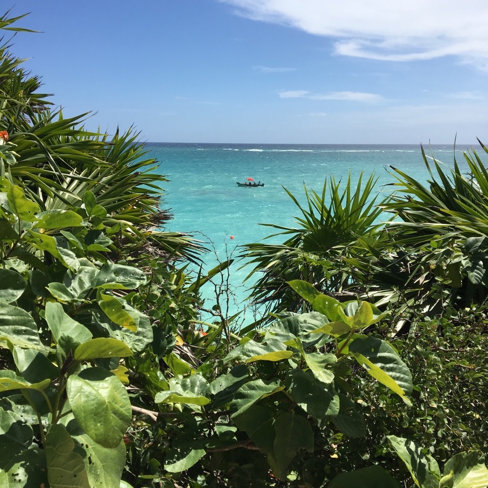 Meet your Posher, April